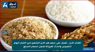 أطنان الأرز.. تعرف على سعر طن الأرز الشعير لدى التجار اليوم الخميس وأحدث تغيراته ضمن أسعار السلع